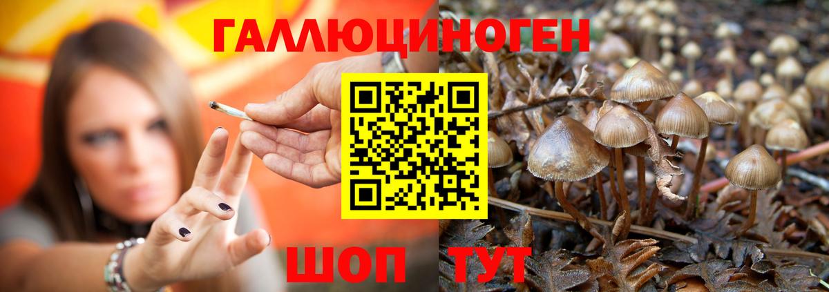 Галлюциногенные грибы мицелий Мытищи